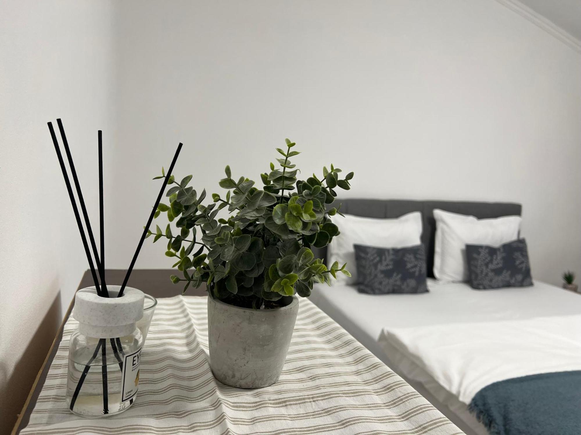 Ndl Downtown Apartment Cluj-Napoca Exterior foto