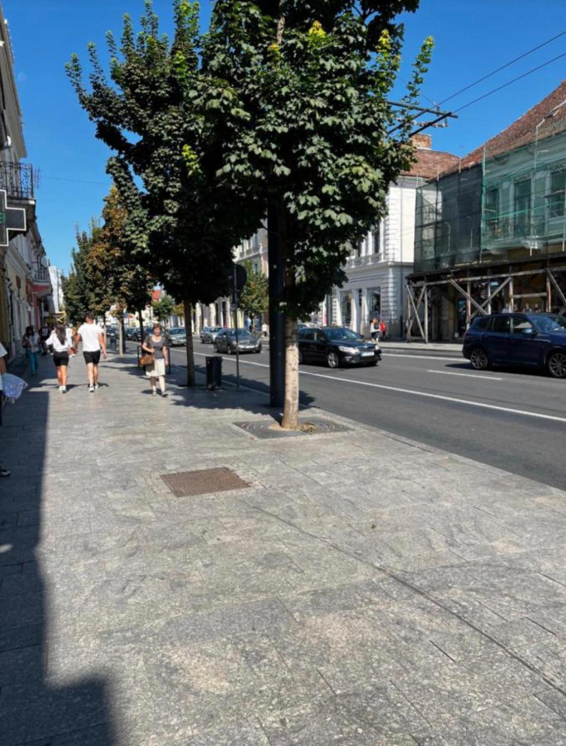 Ndl Downtown Apartment Cluj-Napoca Exterior foto